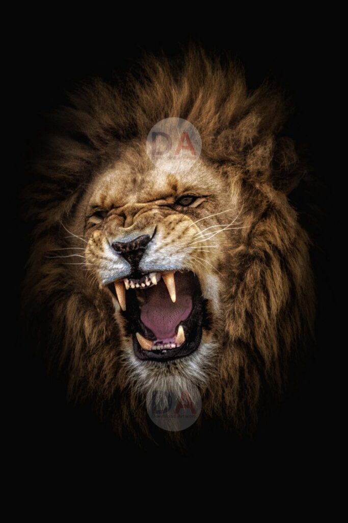 Lion Roaring Images | Printable | Download Artwork