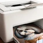 Shih Tzu print by Seeress printed at home