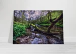 Malham woodland matte print