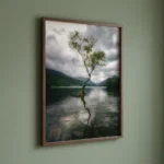 Lone Tree of Llyn Padarn art print on green wall