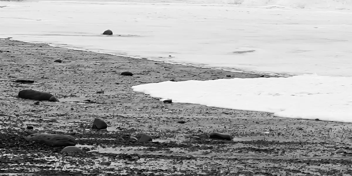 Iceland Reynisfjara Beach look out at the Trolls close up
