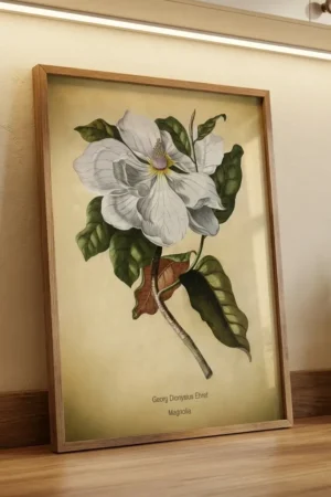 Magnolia print in kitchen
