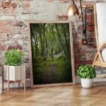 Brimham Rocks Woods Scene 1 framed