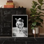 Astronaut framed