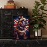 British bulldog 3 in black frame