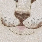 A Sleeping Cat close up