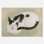 A Sleeping Cat digital download