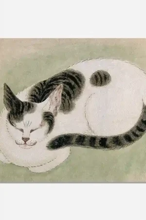 A Sleeping Cat digital download