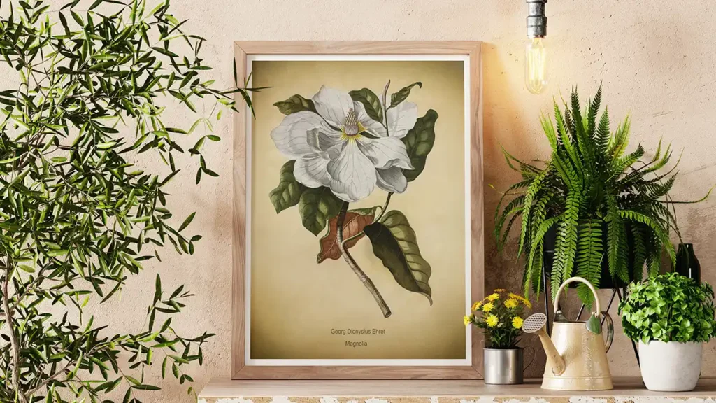 Digitally remastered vintage Botanical Print
