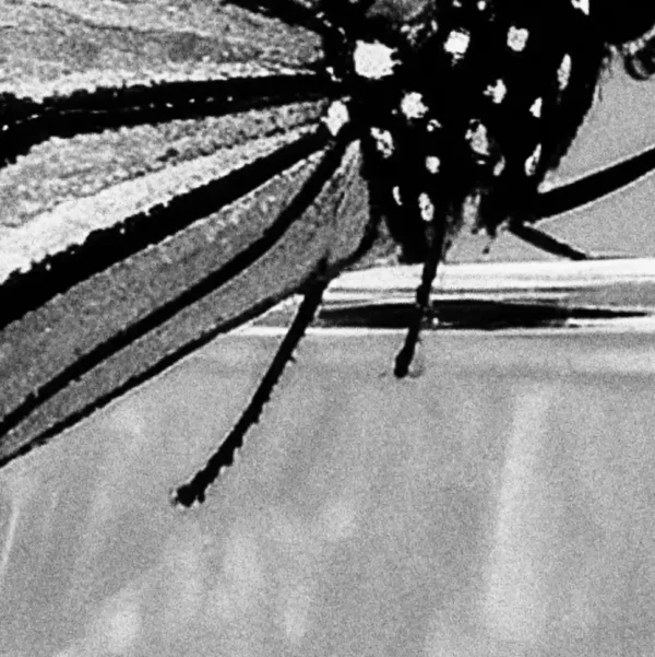 Moment of Duality digital print close up