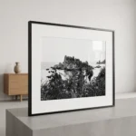 Framed black and white printable art of Isola Bella viewed through wild Mediterranean flora below Taormina, Sicily—agave plant framing the islet across the bay, captured by Mark Marsh and displayed in a modern interior.
