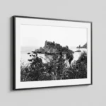 Framed Isola Bella black and white digital wall art print by Mark Marsh, showing the spiky agave leaves and tangled coastal vegetation detail.