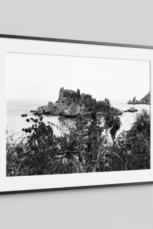 Framed Isola Bella black and white digital wall art print by Mark Marsh, showing the spiky agave leaves and tangled coastal vegetation detail.