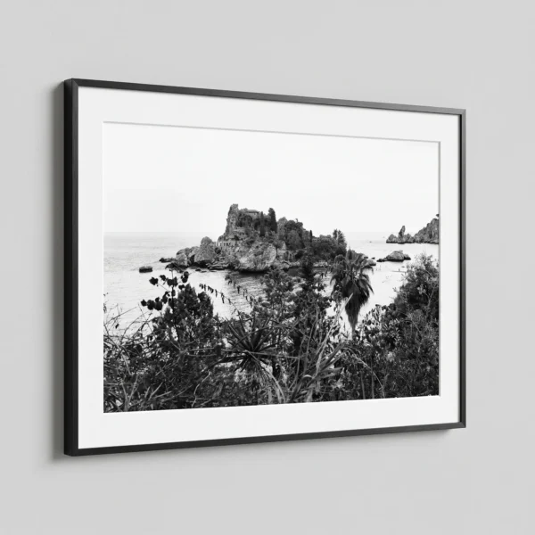 Isola Bella view from above printable art by Mark Marsh printed at A3 size in black frame Framed Isola Bella black and white digital wall art print by Mark Marsh, showing the spiky agave leaves and tangled coastal vegetation detail.