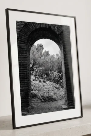 Close-up of a framed Taormina Sicily black and white digital wall art print by Mark Marsh, showing the weathered Roman brick archway and textured prickly pear cacti detail.
