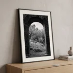 Framed black and white printable art of the Ancient Theatre of Taormina, Sicily—a Roman brick archway framing prickly pear cacti and Mediterranean foliage, captured by Mark Marsh and displayed in a modern interior.